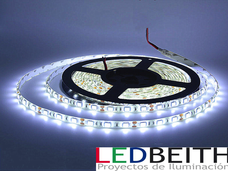 TIRA LED SMD5050, DC24V,Blanco Frío 5M-60 L/M - IP33